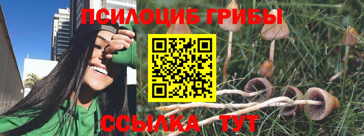 Москва  Галлюциногенные грибы Cubensis  Вход с VPN 