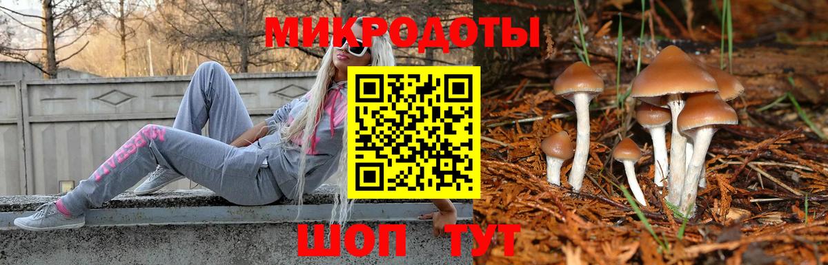 Галлюциногенные грибы Psilocybine cubensis Москва